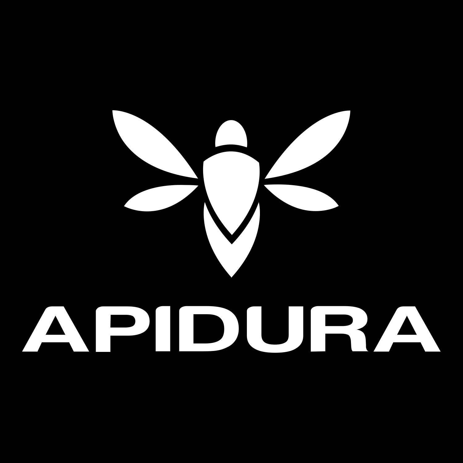 Apidura