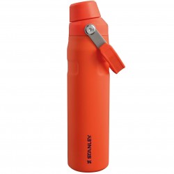 Stanley -termos tip sticla Aerolight Iceflow Fast Flow Lid bottle - portocaliu crin tiger lily - 591 ml
